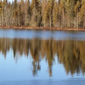 Meet your Posher, Simone